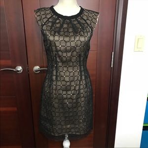 Bcbg maxzazria women dress